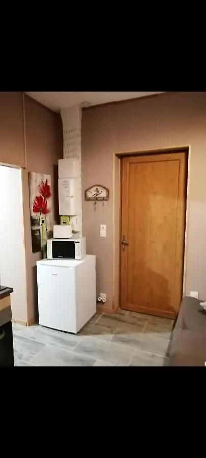 Villa De La Dore Le Mont-Dore Apartment